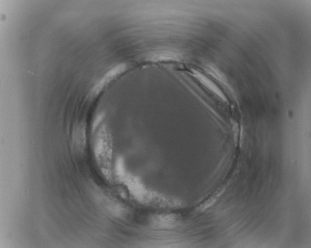 X0000065960202200603172033