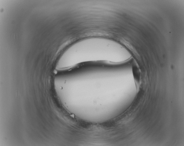 X0000065960207200603172033