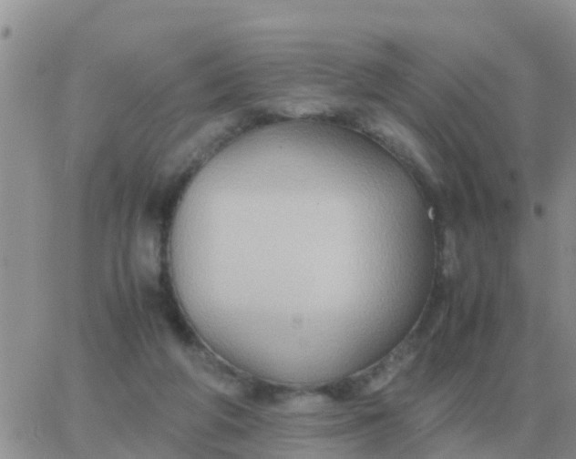 X0000065960210200603172033