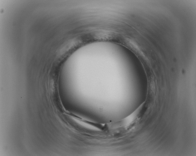 X0000065960211200603172033