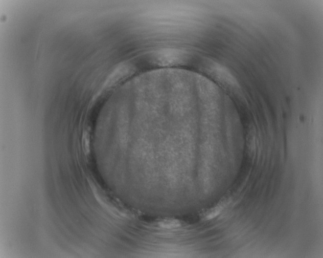 X0000065960214200603172033