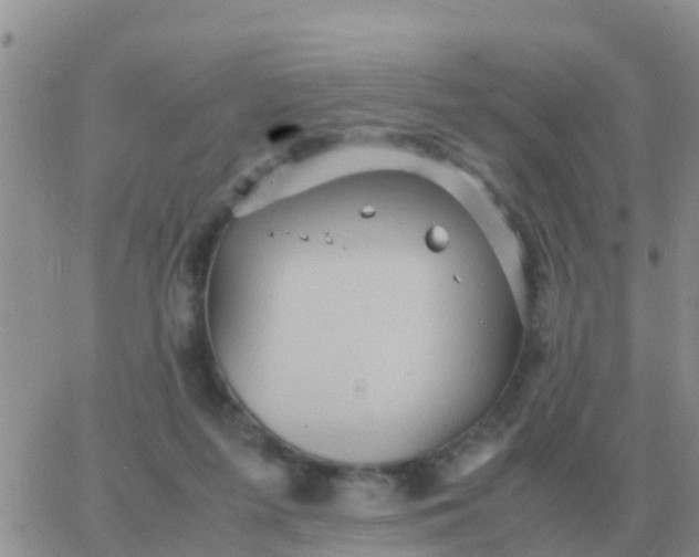 X0000065960215200603172033