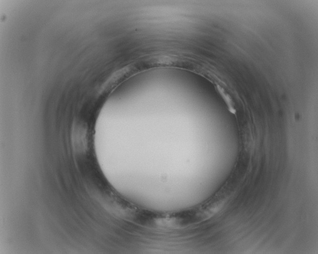 X0000065960216200603172033