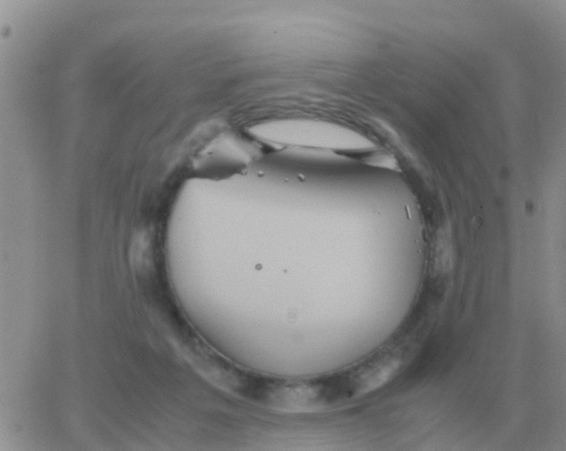 X0000065960217200603172033