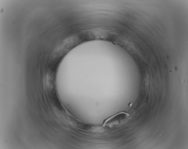 X0000065960218200603172033