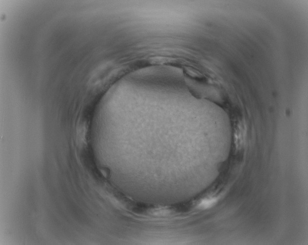 X0000065960219200603172033