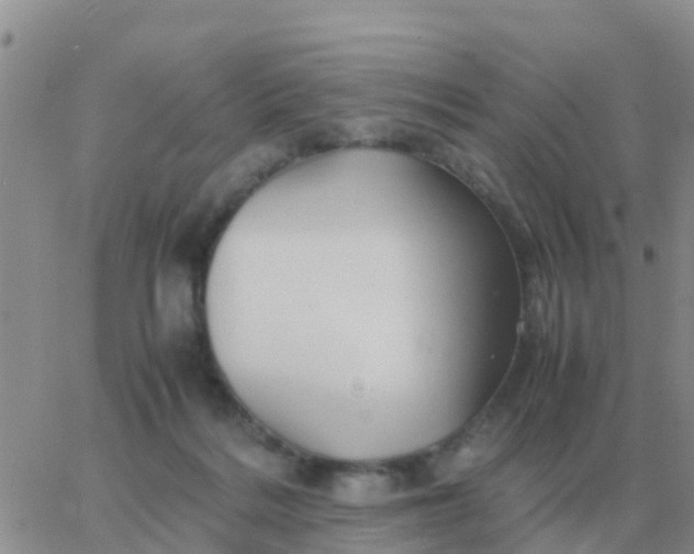 X0000065960220200603172033