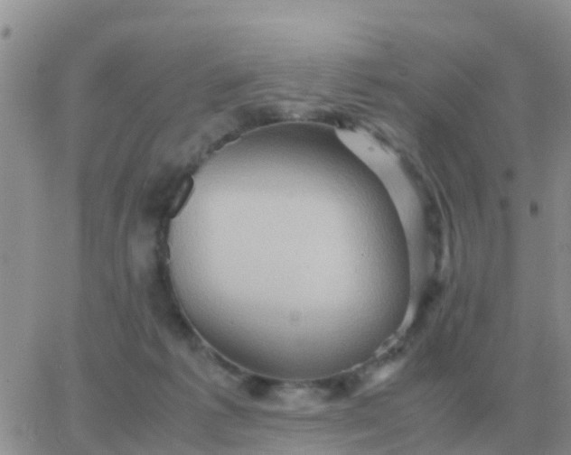 X0000065960221200603172033