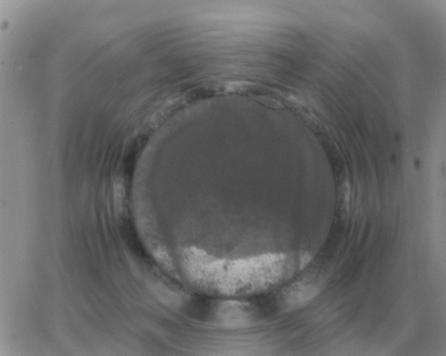 X0000065960222200603172033