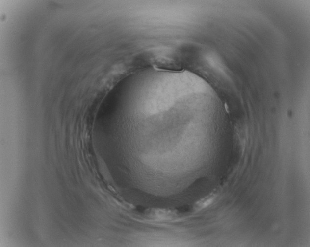 X0000065960223200603172032