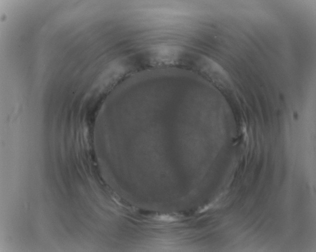 X0000065960224200603172032