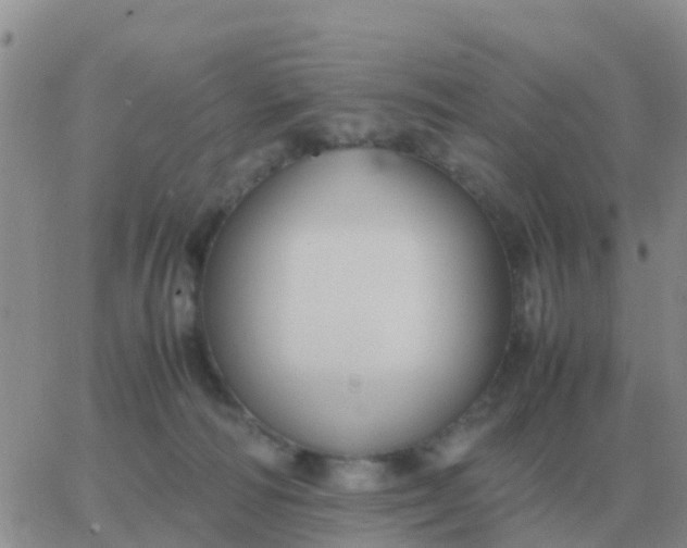 X0000065960226200603172032