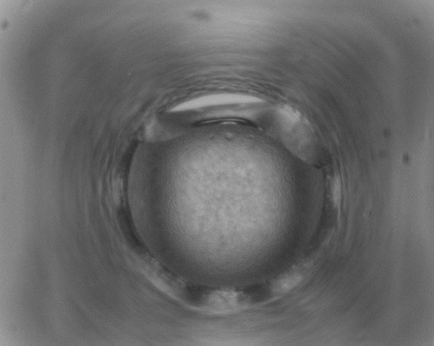 X0000065960227200603172032