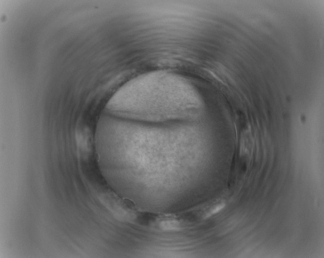 X0000065960228200603172032