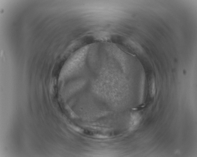 X0000065960229200603172032