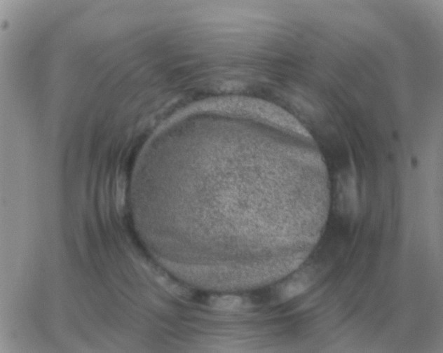 X0000065960230200603172032