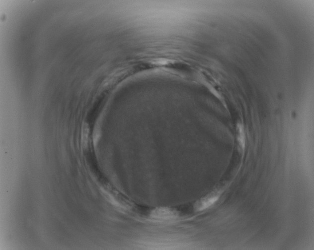 X0000065960231200603172032