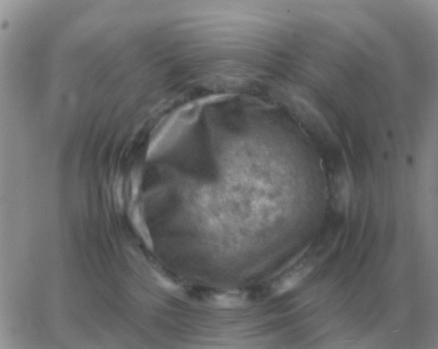 X0000065960232200603172032