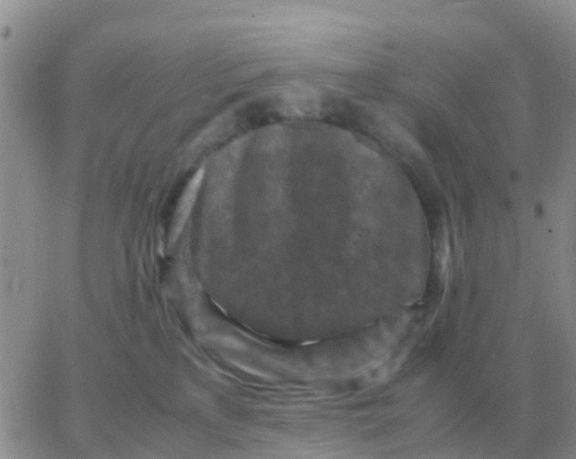 X0000065960233200603172032