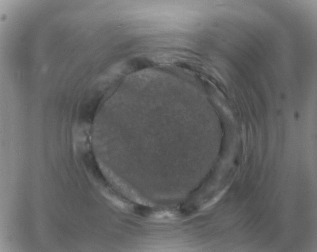 X0000065960237200603172032