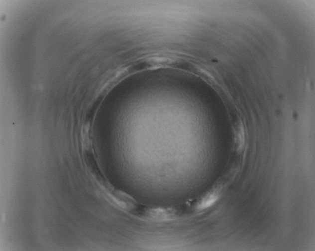 X0000065960239200603172032