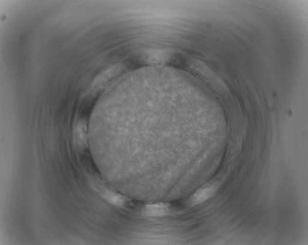 X0000065960240200603172032