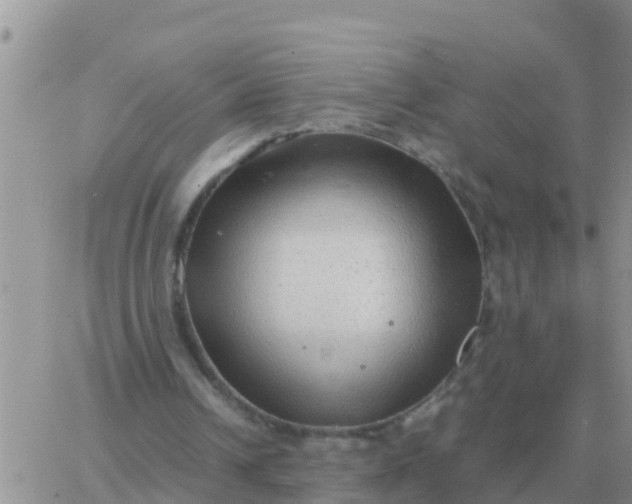 X0000065960242200603172031