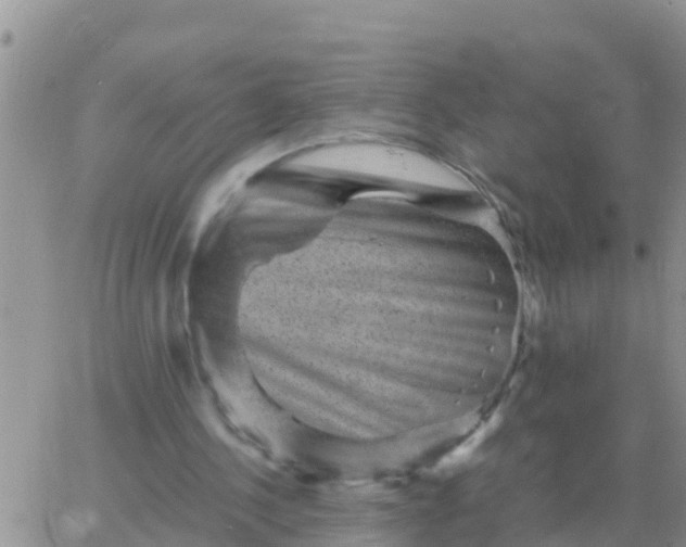 X0000065960244200603172031