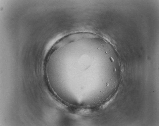 X0000065960248200603172032