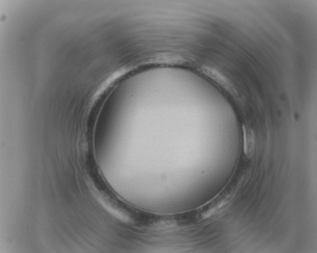 X0000065960252200603172032