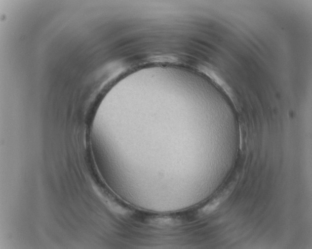 X0000065960253200603172032