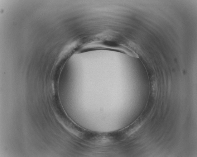 X0000065960254200603172032