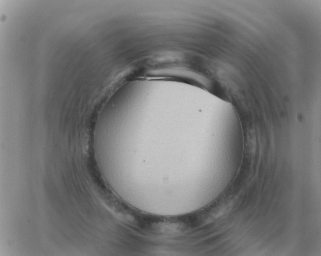 X0000065960255200603172032