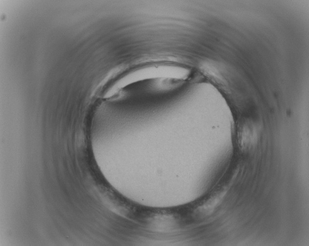 X0000065960256200603172032