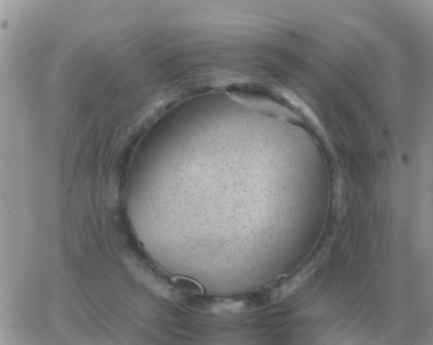 X0000065960257200603172032