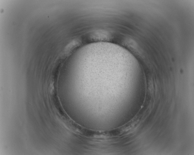 X0000065960259200603172032