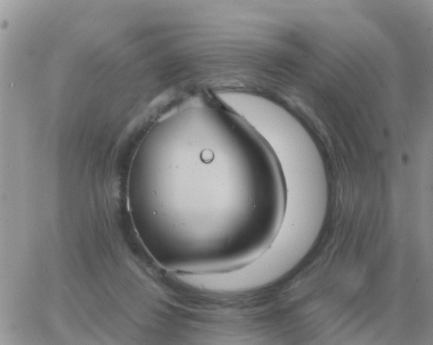 X0000065960260200603172032