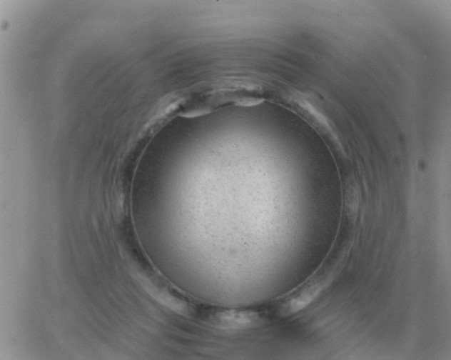 X0000065960261200603172032