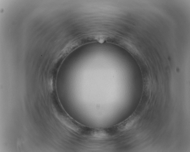 X0000065960262200603172032