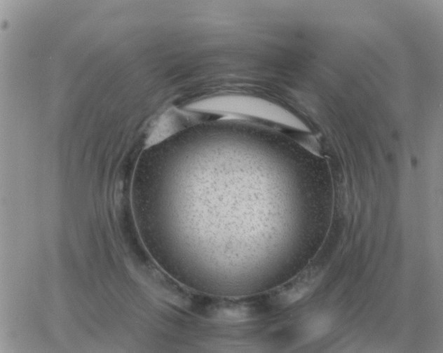 X0000065960263200603172032