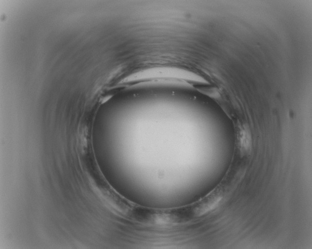 X0000065960264200603172032