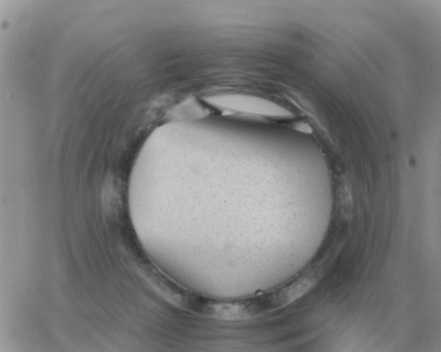 X0000065960265200603172032