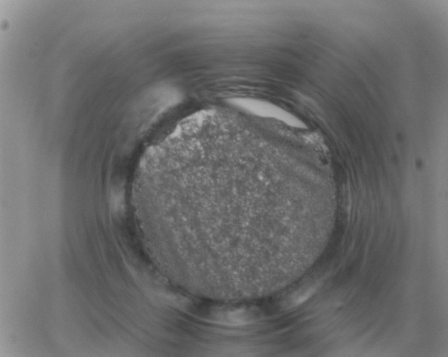 X0000065960267200603172032