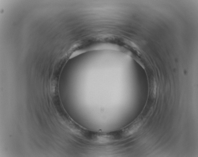 X0000065960268200603172032