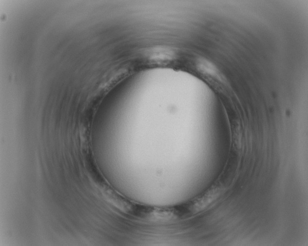 X0000065960270200603172032