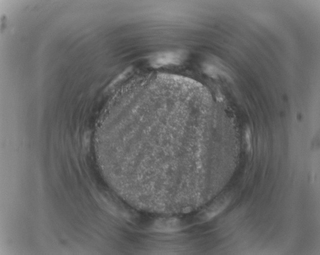 X0000065960271200603172032