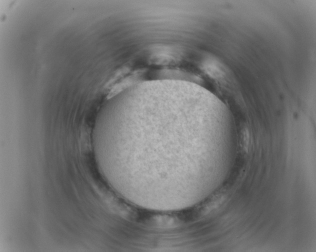 X0000065960272200603172032