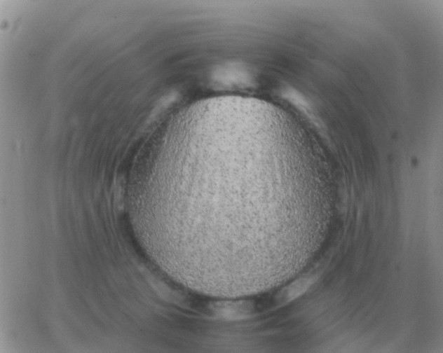 X0000065960273200603172032