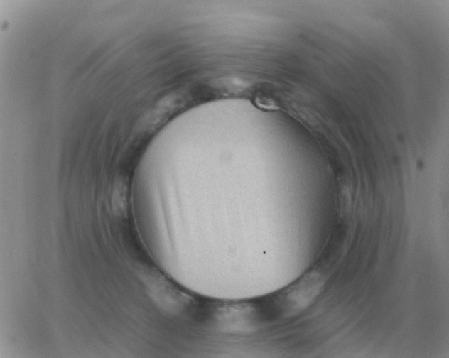 X0000065960274200603172032