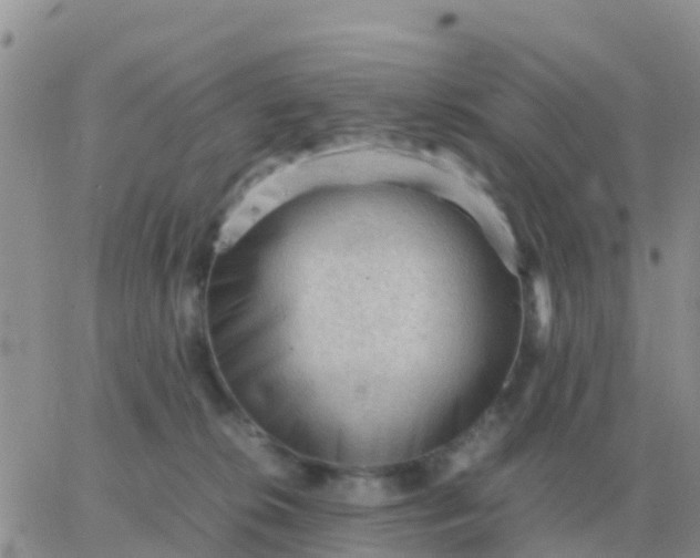 X0000065960276200603172032